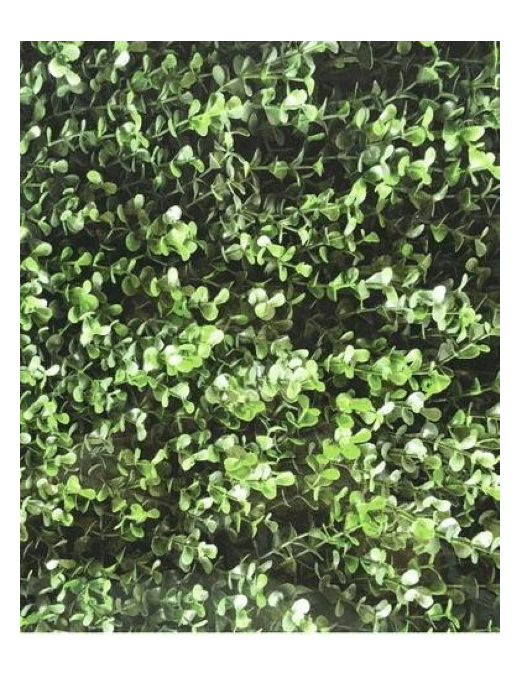 SIEPE ARTIFICIALE 100x50cm BOXUS JADE