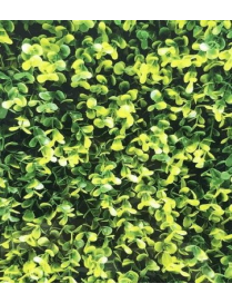 SIEPE ARTIFICIALE 100x50cm BOXUS MIX