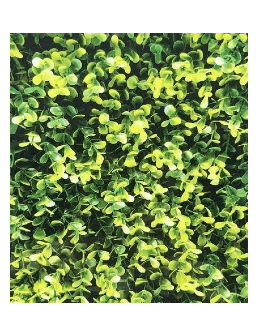 SIEPE ARTIFICIALE 100x50cm BOXUS MIX