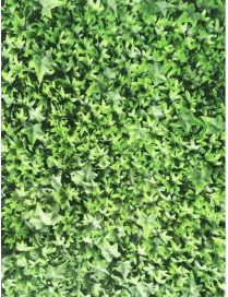 SIEPE ARTIFICIALE 100x50cm ENGLISH IVY