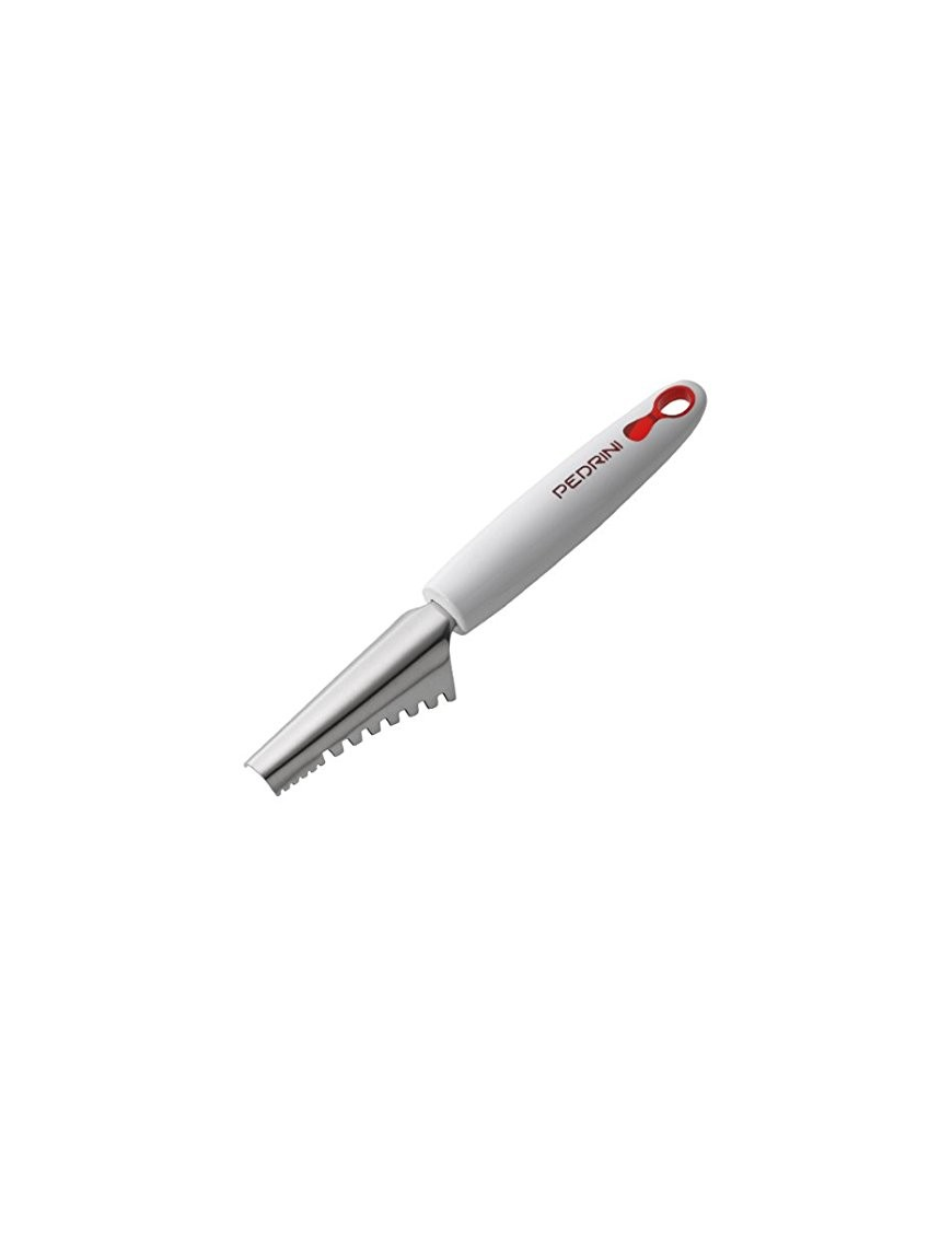 LINEA LILLO SQUAMAPESCE METALLO