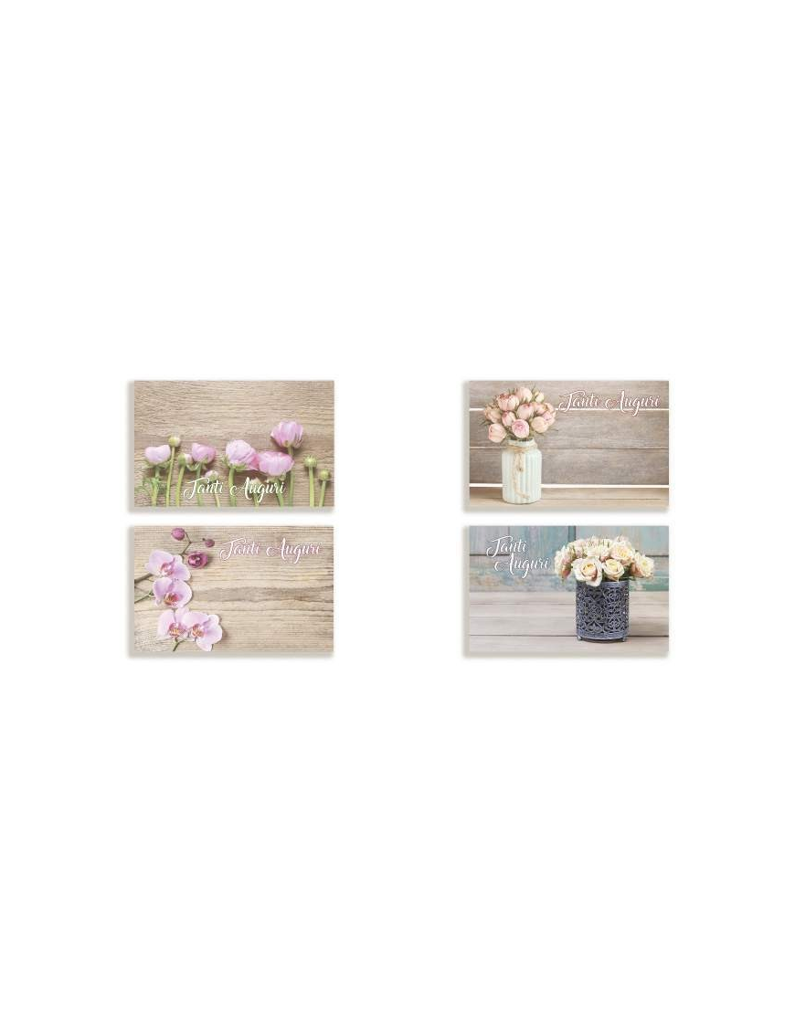 BUSTA+BIGLIETTO 100 PEZZI SHABBY