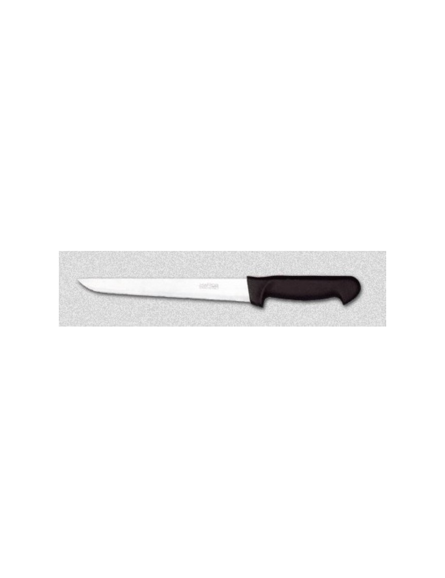 ANATOMICAL LINE ROAST KNIFE 22 CENTIMETERS