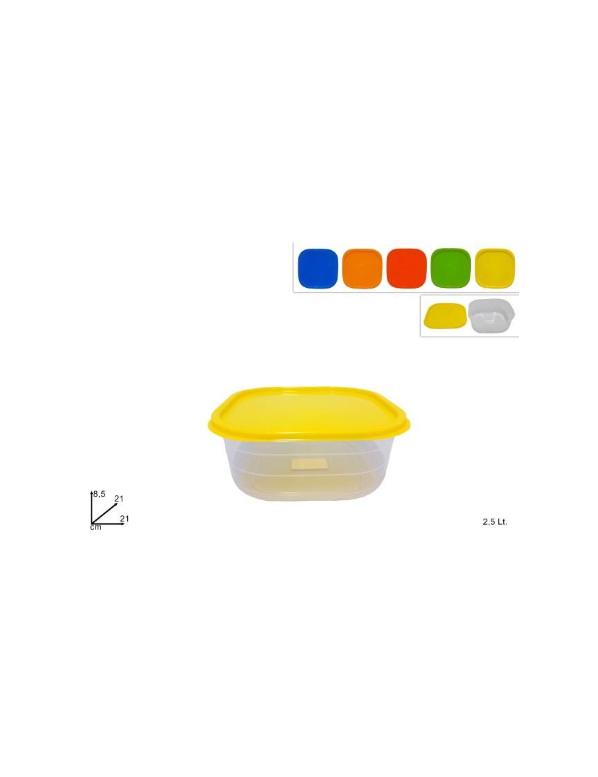 CONTENITORE QUADRO 2,5 LITRI CON COPERCHIO