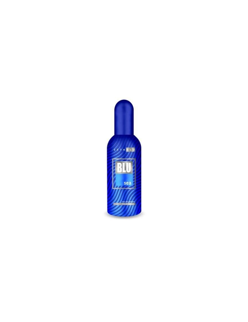 MEN'S PERFUME 100 MM BLUE SEA
