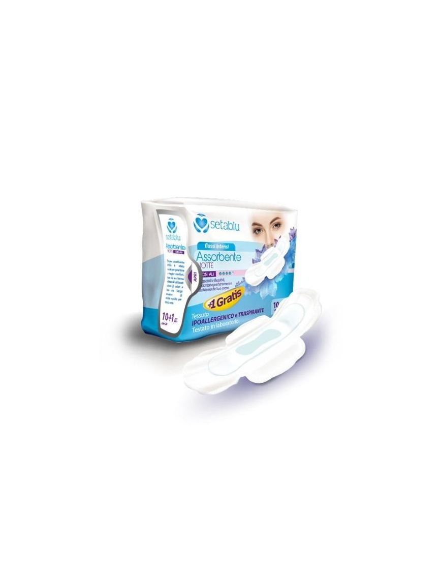 NIGHT PAD WITH WINGS 11 PIECES