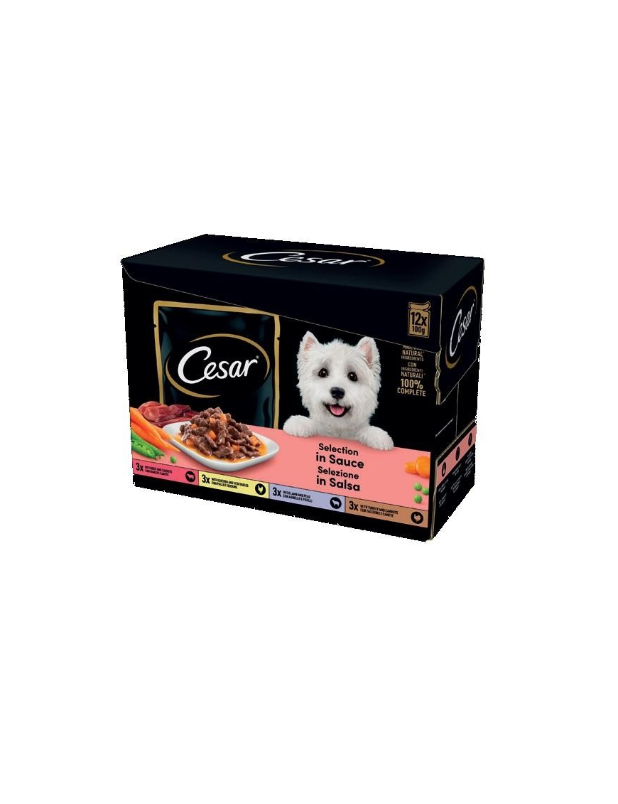 CESAR SELEZIONE SALSA 4x12x100 GRAMMI