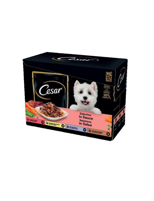 CESAR SELEZIONE SALSA 4x12x100 GRAMMI