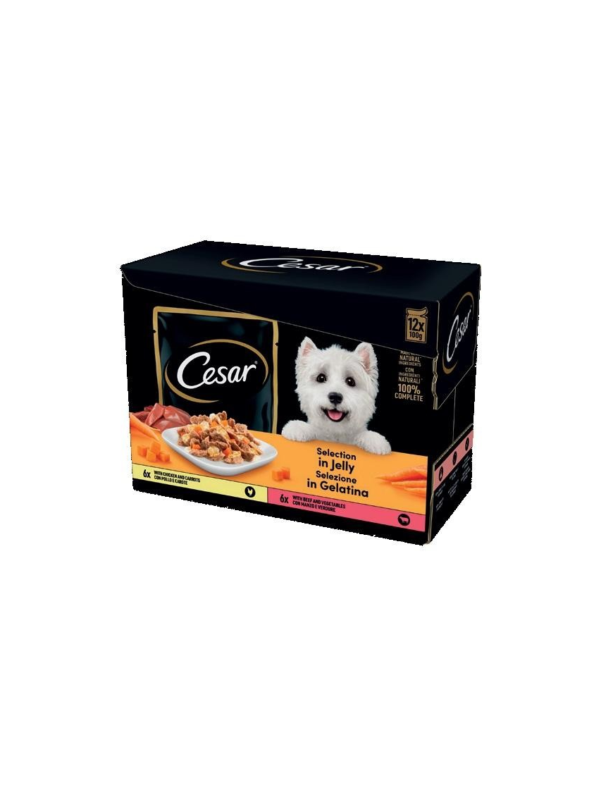 CESAR GELATINE SELECTION 4x12x100 GRAMS