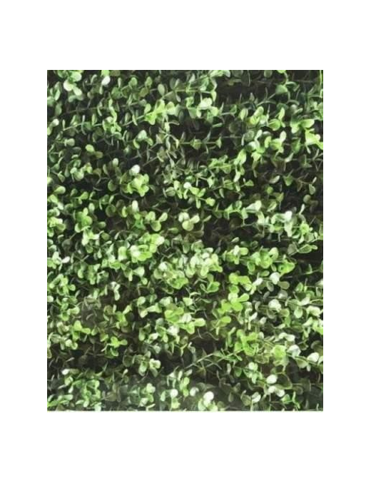 SIEPE ARTIFICIALE 100x50cm BOXUS JADE