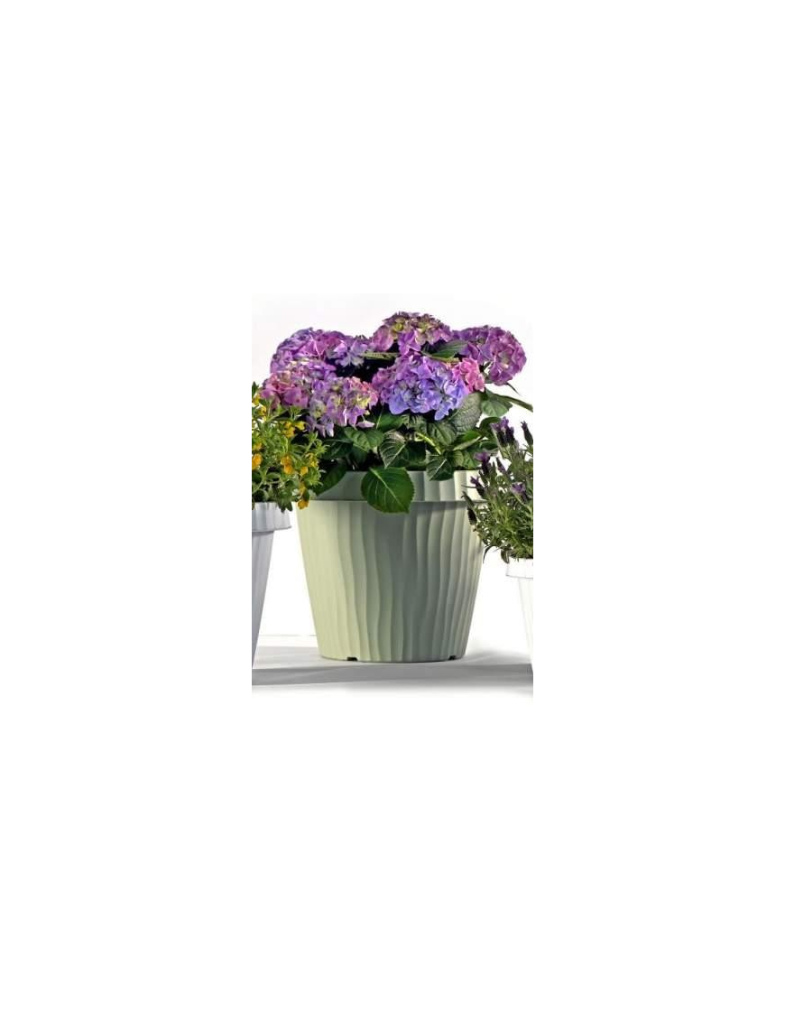 VASO ONDA SALVIA DIAMETRO 30cm