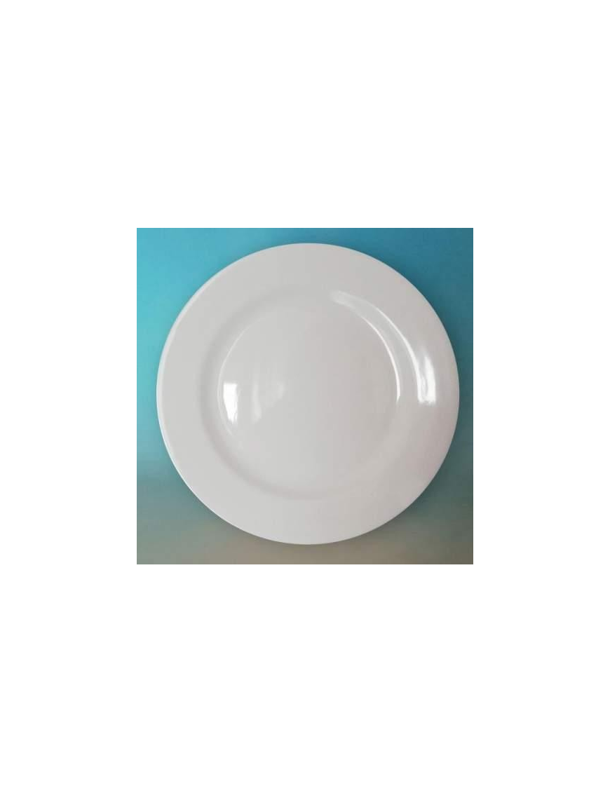 DINNER PLATE 23 CENTIMETERS