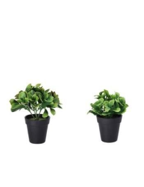PIANTA ARTIFICIALE CON VASO 15 CENTIMETRI