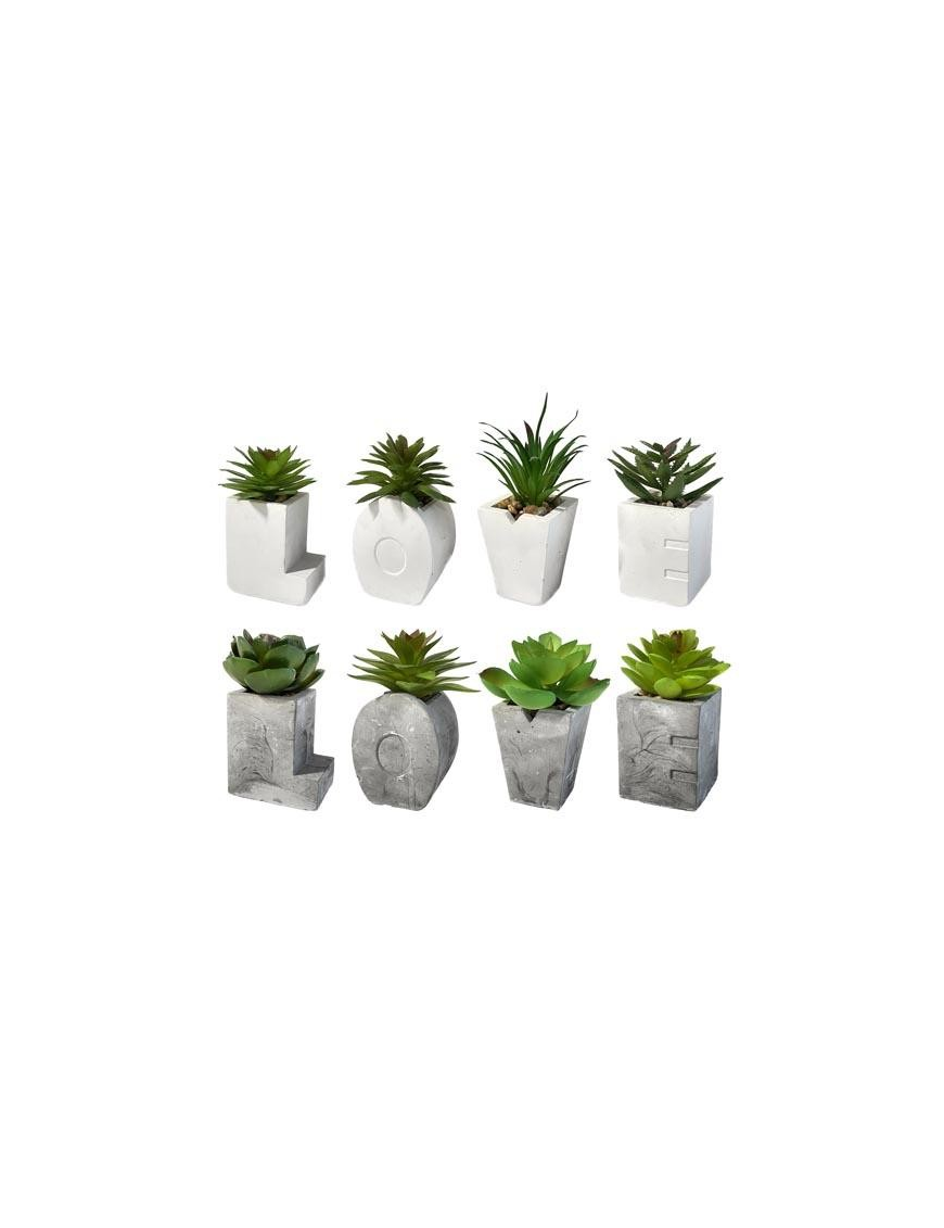PIANTA GRASSA LOVE 4pezzi
