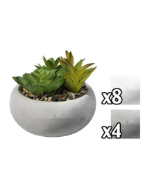 SUCCULENT PLANT ROUND POT 12cm