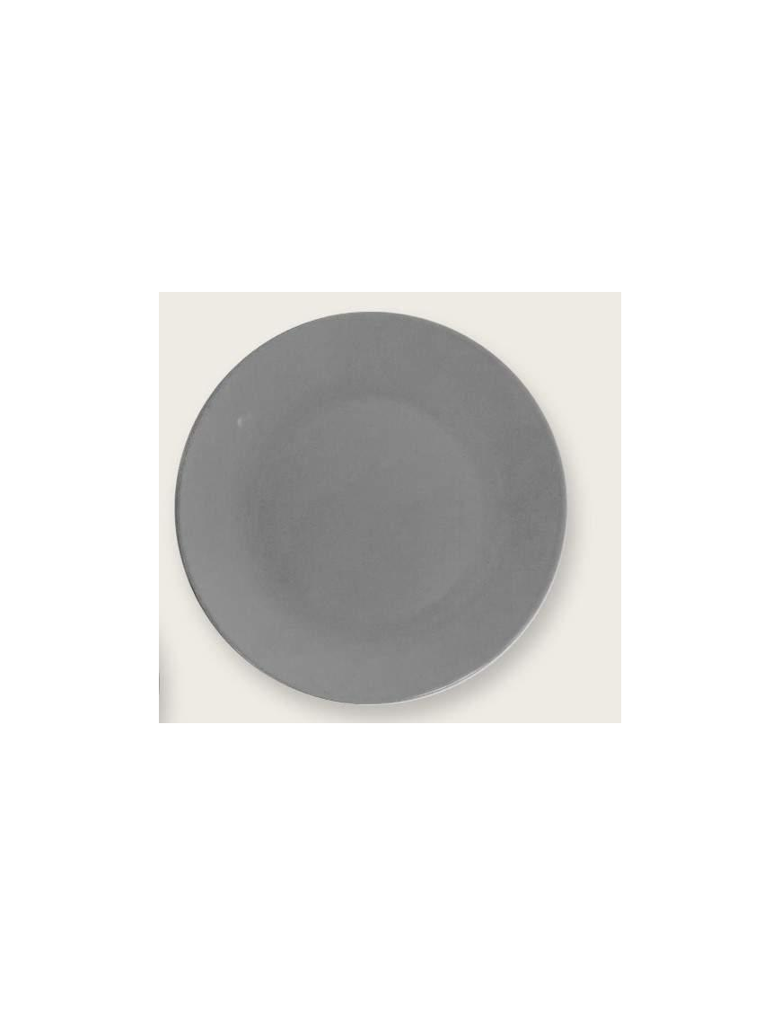 SOLID COLOR GRAY DINNER PLATE 26 CM