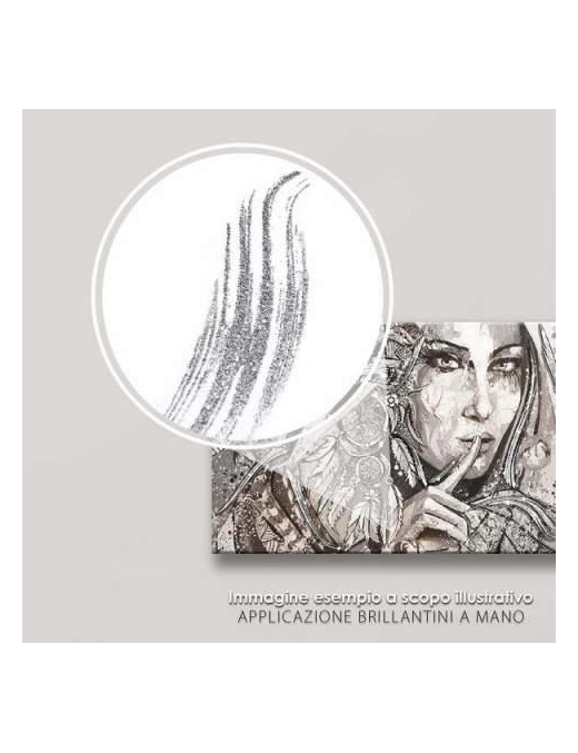SHINY QUADRO 62x115 INDIAN ARGENTO $$