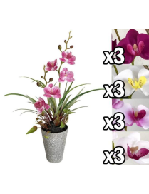 PIANTA ORCHIDEA 37 CENTIMETRI