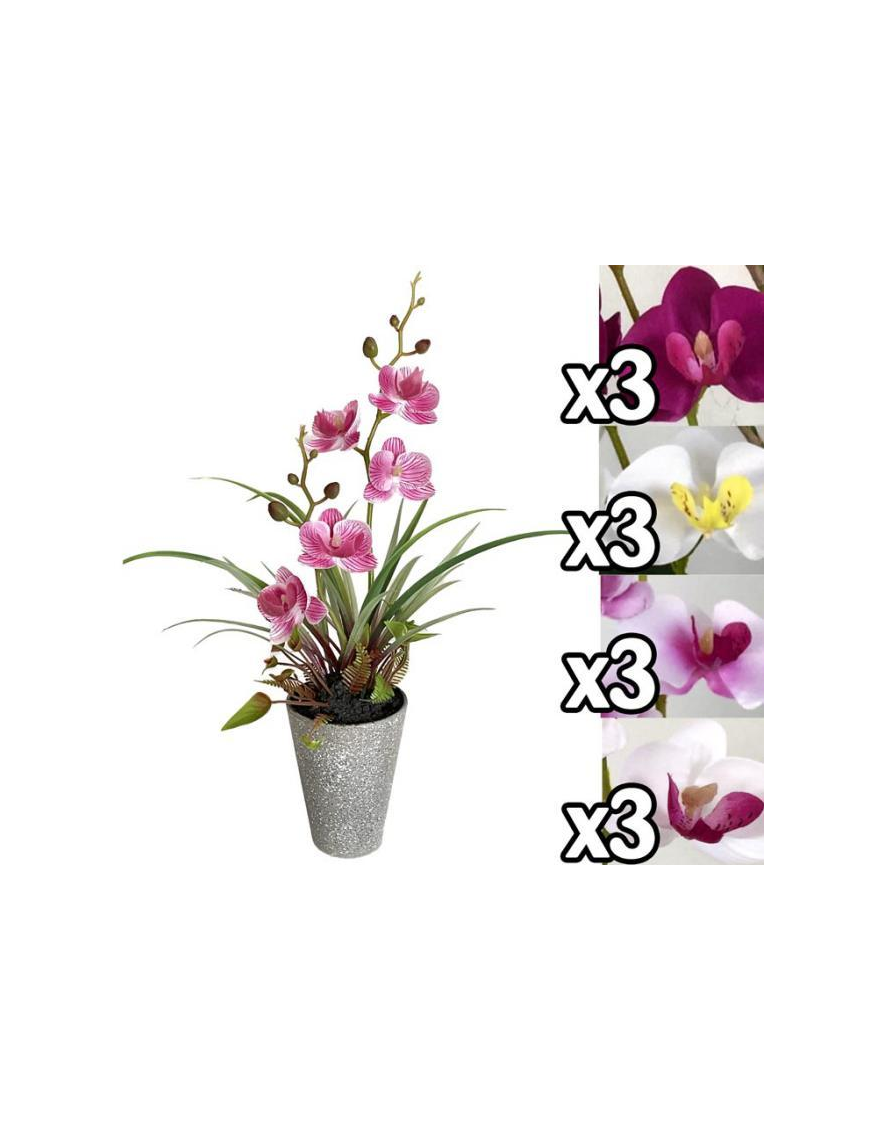 PIANTA ORCHIDEA 37 CENTIMETRI