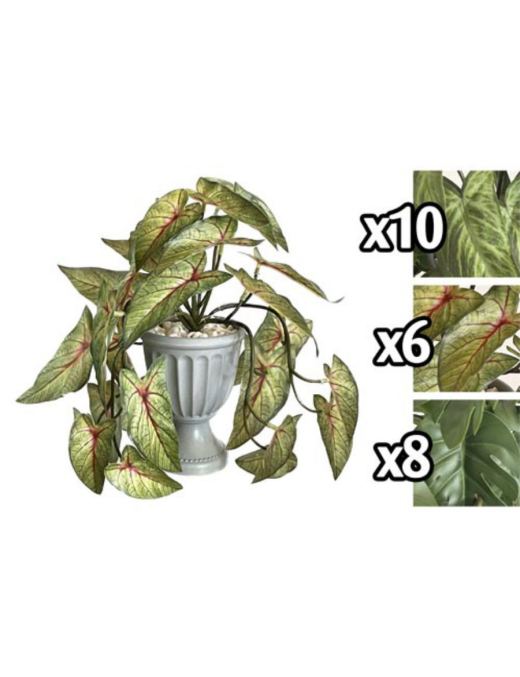 PIANTA TROPICAL 25 CENTIMETRI