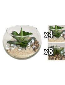 SUCCULENT PLANT GLASS VASE 14x10cm