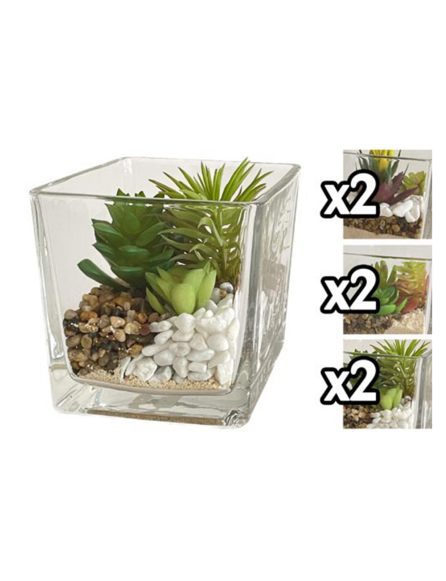 SUCCULENT PLANT GLASS VASE 12x12 cm