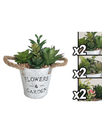 PIANTA GRASSA VASO MET 13x21 CENTIMETRI