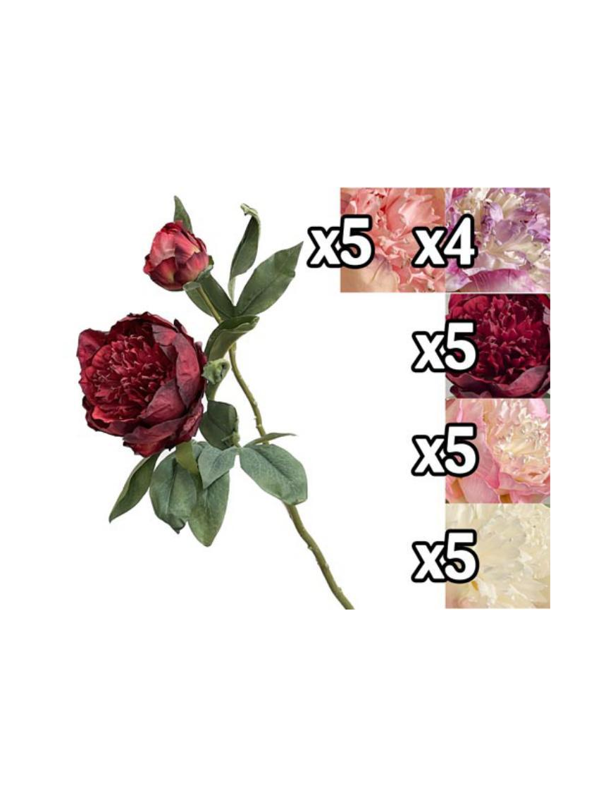 STELO PEONIA 47 CENTIMETRI