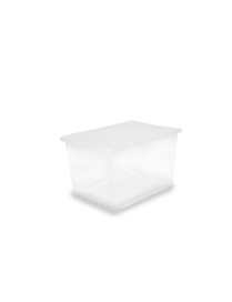 CONTENITORE SPRING BOX 55x39x32 cm