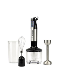 MIXER IMMERSIONE 1000W