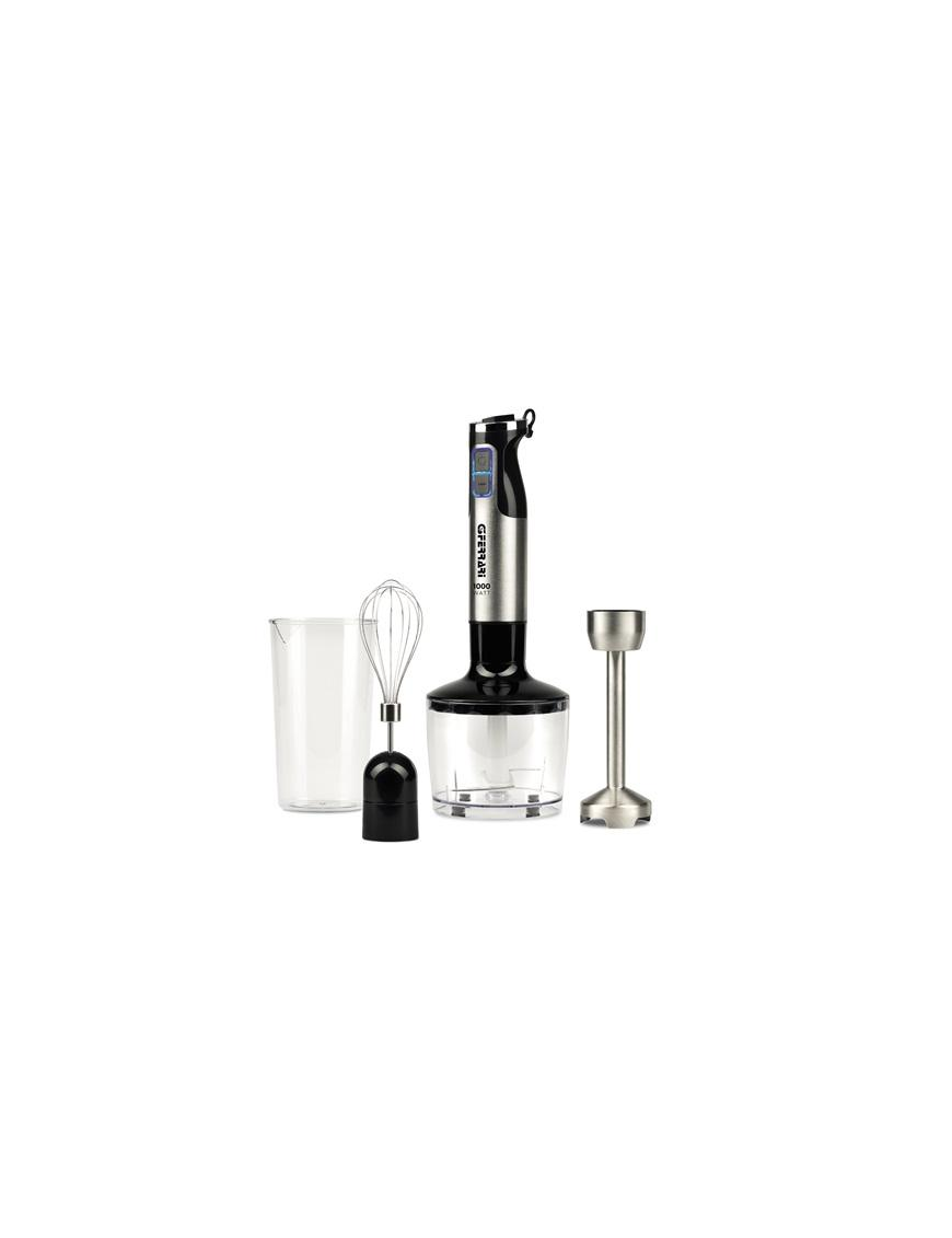IMMERSION MIXER 1000W