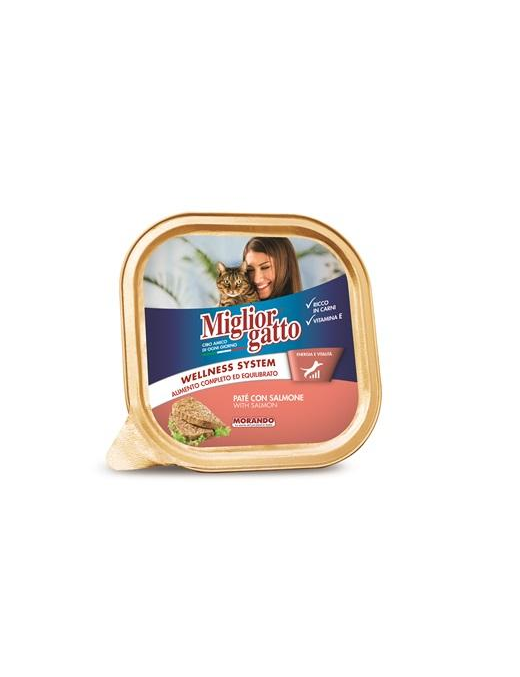 MIGLIOR GATTO VASCHETTA SALMONE 100gr