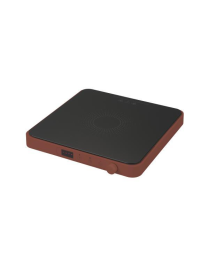 INDUCTION PLATE 200-2000W RED
