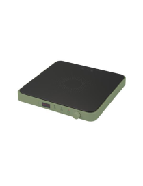 INDUCTION PLATE 200-2000W GREEN