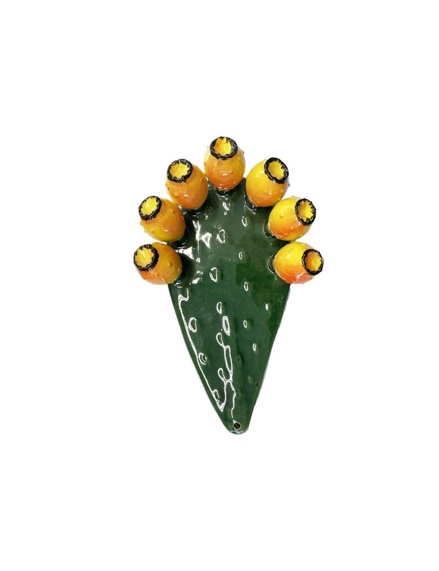 PALA FICO D'INDIA DA MURO 40cm