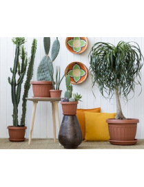 VASO FIORI TERRA DIAMETRO 25cm