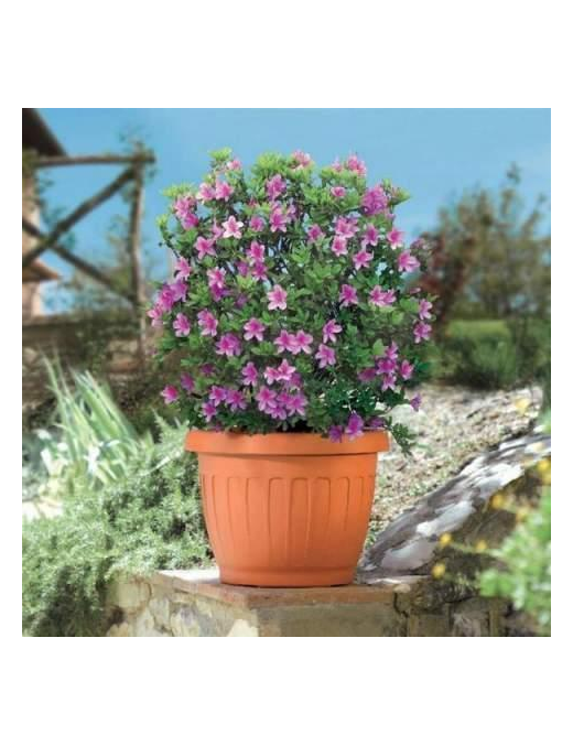 VASO FIORI TERRA DIAMETRO 50cm