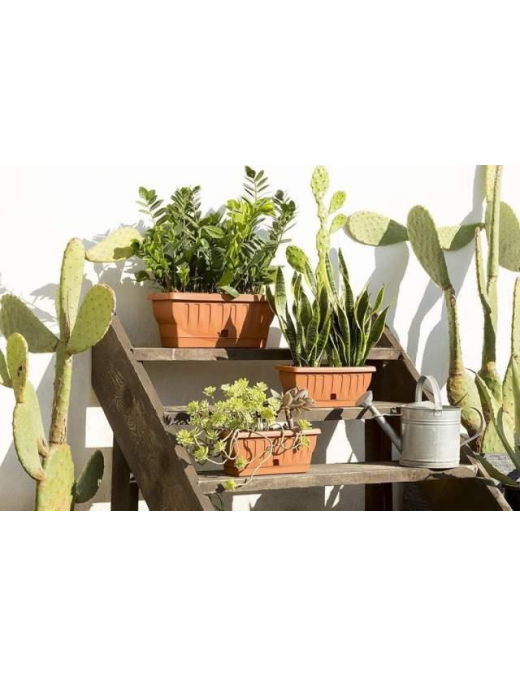 FIORIERA NATURA  40cm
