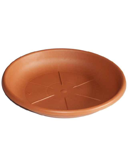 COOKED SAUCER DIAMETER 50cm