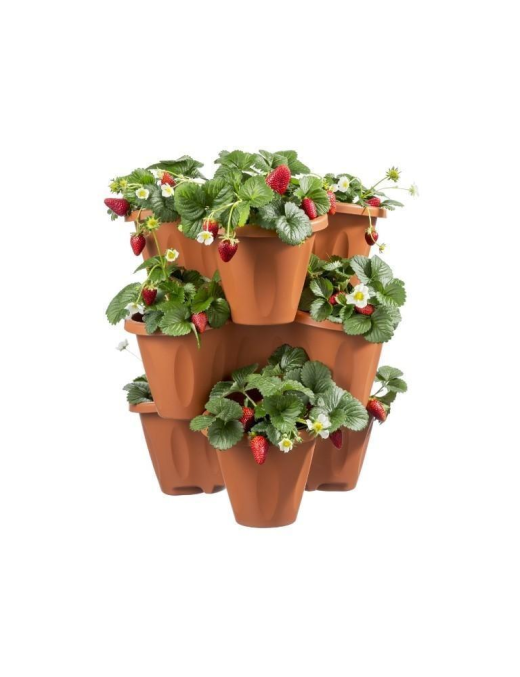 CLOVER LINE VASE DIAMETER 40x16cm