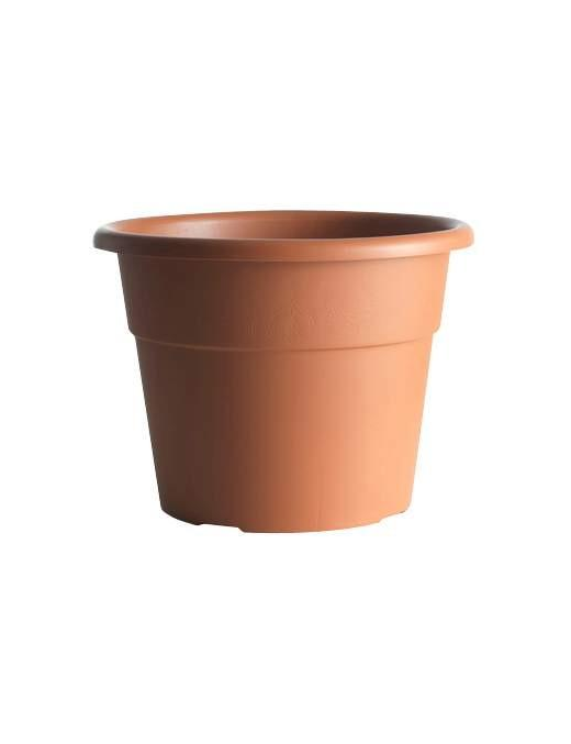 VASO HEDERA DIAMETRO 20cm