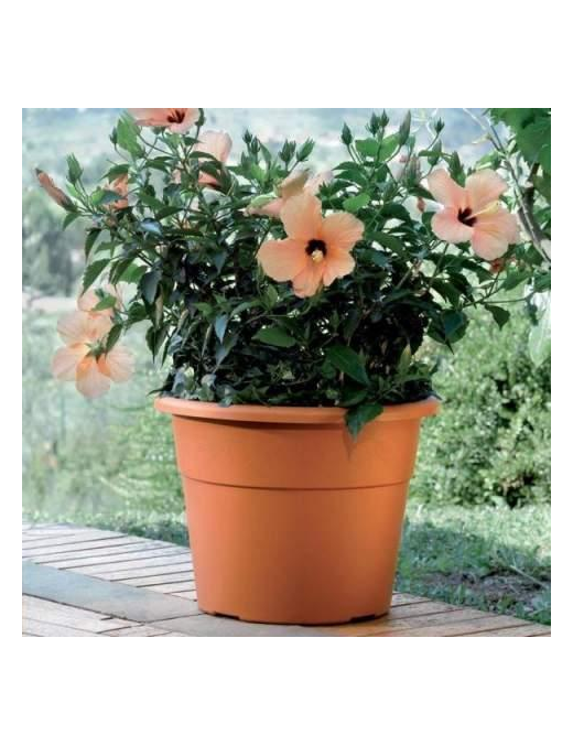 HEDERA VASE DIAMETER 40cm