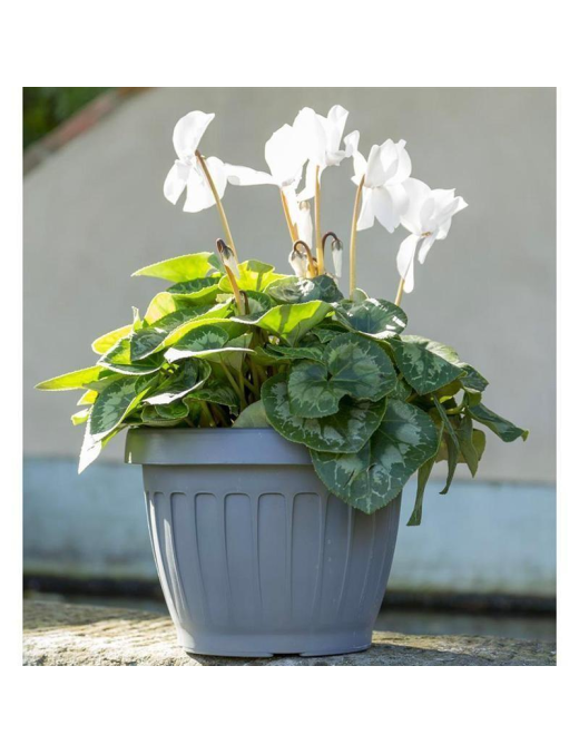 GROUND FLOWER VASE DIAMETER 35cm. GRAY