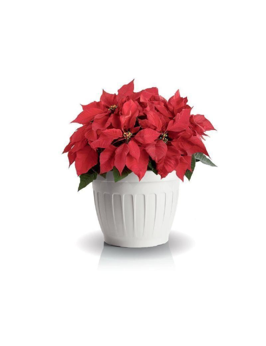 GROUND FLOWER VASE DIAMETER 30cm WHITE