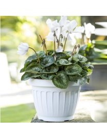 GROUND FLOWER VASE DIAMETER 30cm WHITE