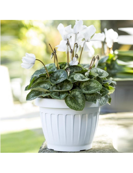VASO FIORI TERRA DIAMETRO 30cm BIANCO