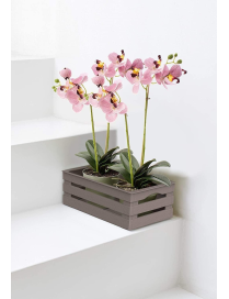 TINA BOX 25x16x10cm TAUPE