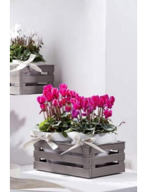 TINA BOX 25x16x10cm TAUPE
