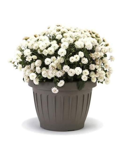 EARTH FLOWER VASE DIAMETER 25cm CAPPUCCINO