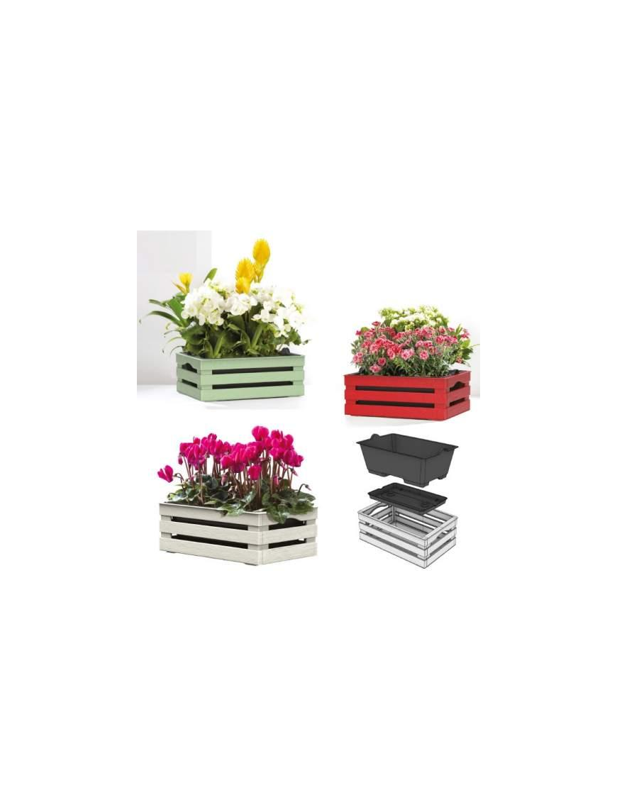 TINA FLOWER ASSORTED BOX 25x15.5x10.5cm